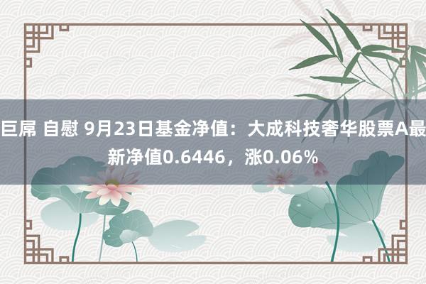 巨屌 自慰 9月23日基金净值：大成科技奢华股票A最新净值0.6446，涨0.06%