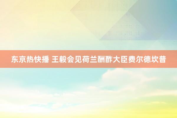 东京热快播 王毅会见荷兰酬酢大臣费尔德坎普