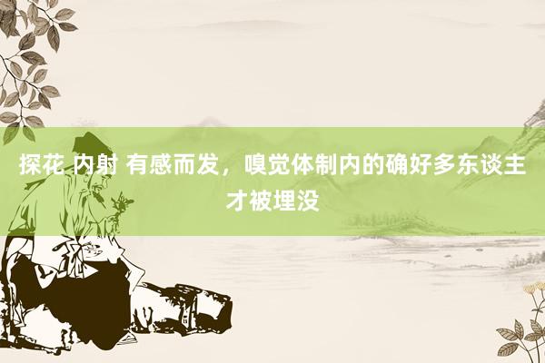 探花 内射 有感而发,嗅觉体制内的确好多东谈主才被埋没