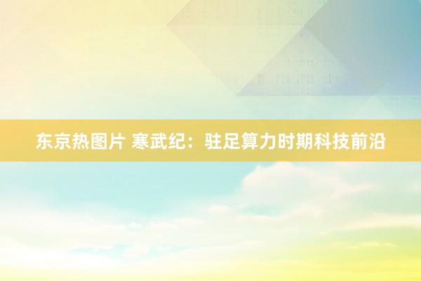 东京热图片 寒武纪：驻足算力时期科技前沿