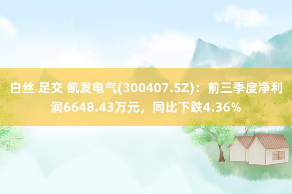 白丝 足交 凯发电气(300407.SZ)：前三季度净利润6648.43万元，同比下跌4.36%