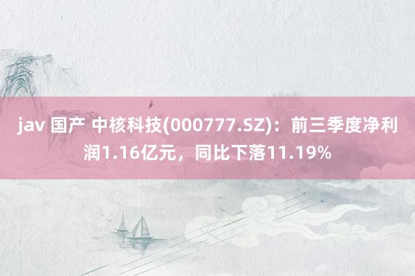 jav 国产 中核科技(000777.SZ)：前三季度净利润1.16亿元，同比下落11.19%