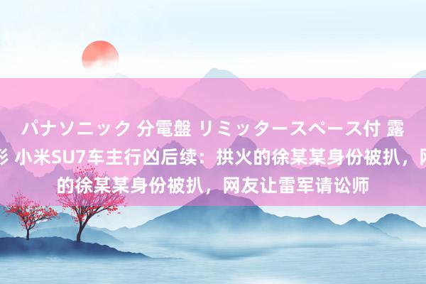 パナソニック 分電盤 リミッタースペース付 露出・半埋込両用形 小米SU7车主行凶后续：拱火的徐某某身份被扒，网友让雷军请讼师