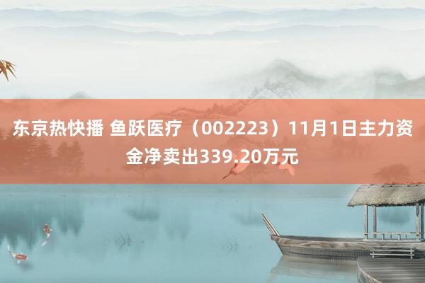 东京热快播 鱼跃医疗（002223）11月1日主力资金净卖出339.20万元