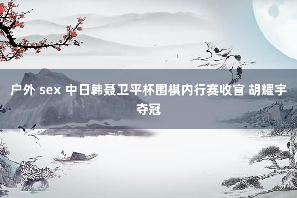 户外 sex 中日韩聂卫平杯围棋内行赛收官 胡耀宇夺冠
