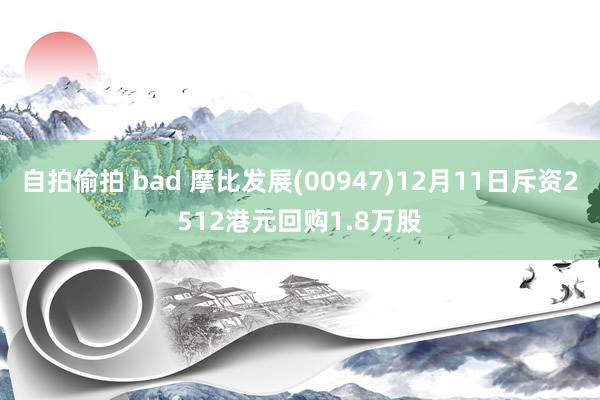 自拍偷拍 bad 摩比发展(00947)12月11日斥资2512港元回购1.8万股
