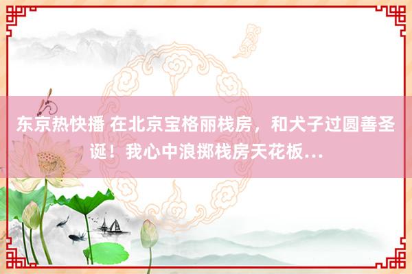 东京热快播 在北京宝格丽栈房，和犬子过圆善圣诞！我心中浪掷栈房天花板…