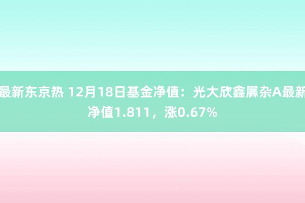 最新东京热 12月18日基金净值：光大欣鑫羼杂A最新净值1.811，涨0.67%