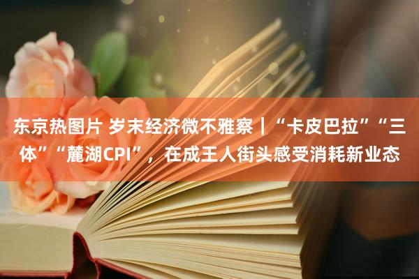东京热图片 岁末经济微不雅察｜“卡皮巴拉”“三体”“麓湖CPI”，在成王人街头感受消耗新业态
