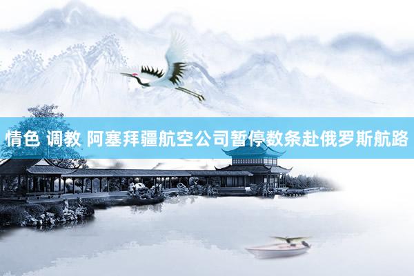 情色 调教 阿塞拜疆航空公司暂停数条赴俄罗斯航路