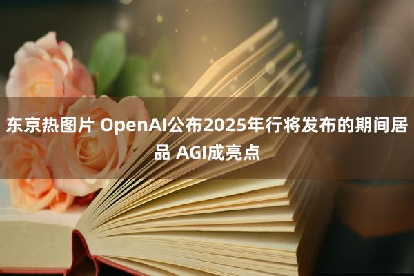 东京热图片 OpenAI公布2025年行将发布的期间居品 AGI成亮点