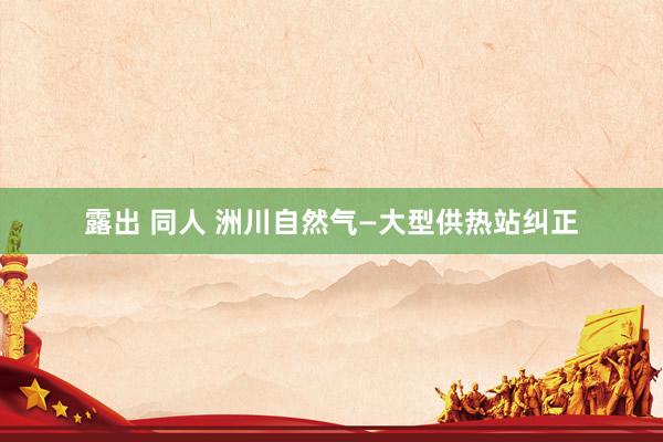露出 同人 洲川自然气—大型供热站纠正