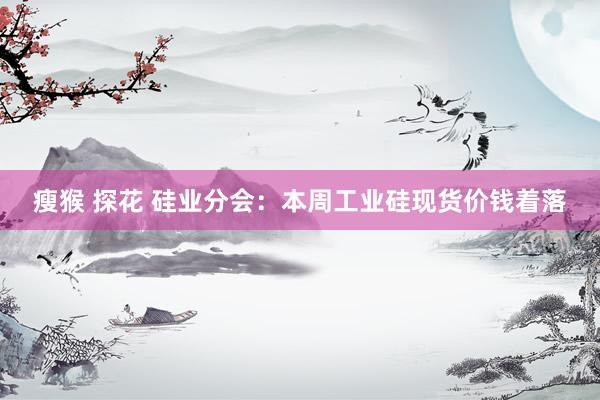瘦猴 探花 硅业分会：本周工业硅现货价钱着落