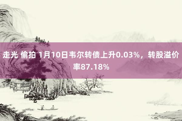 走光 偷拍 1月10日韦尔转债上升0.03%，转股溢价率87.18%