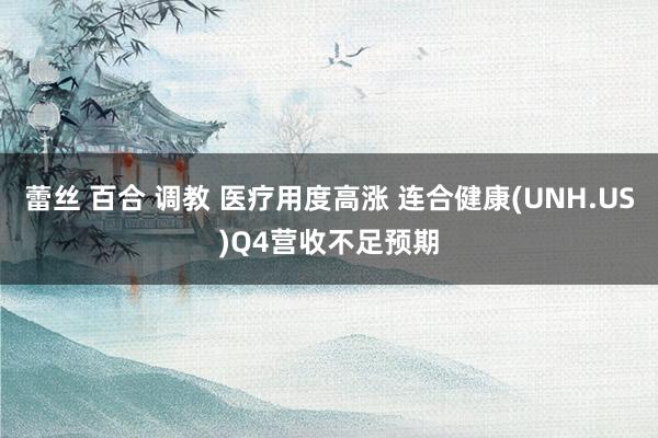 蕾丝 百合 调教 医疗用度高涨 连合健康(UNH.US)Q4营收不足预期
