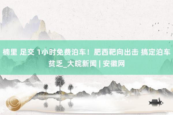 楠里 足交 1小时免费泊车！肥西靶向出击 搞定泊车贫乏_大皖新闻 | 安徽网