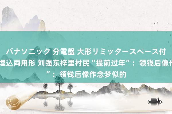 パナソニック 分電盤 大形リミッタースペース付 露出・半埋込両用形 刘强东梓里村民“提前过年”：领钱后像作念梦似的
