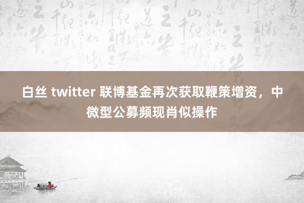 白丝 twitter 联博基金再次获取鞭策增资，中微型公募频现肖似操作