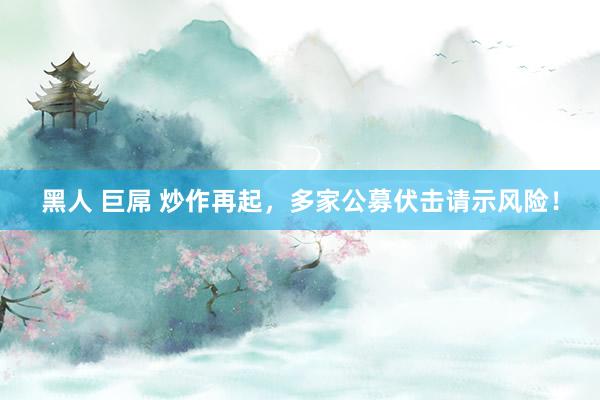 黑人 巨屌 炒作再起，多家公募伏击请示风险！