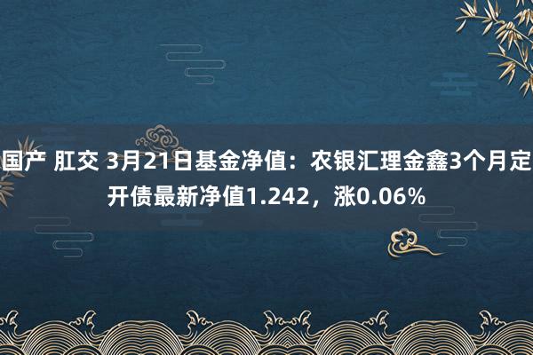 国产 肛交 3月21日基金净值：农银汇理金鑫3个月定开债最新净值1.242，涨0.06%