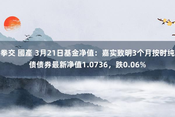 拳交 國產 3月21日基金净值：嘉实致明3个月按时纯债债券最新净值1.0736，跌0.06%