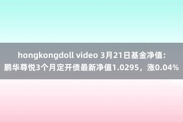 hongkongdoll video 3月21日基金净值：鹏华尊悦3个月定开债最新净值1.0295，涨0.04%
