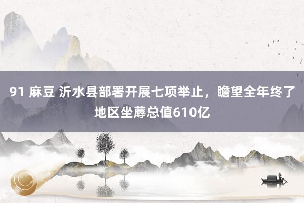 91 麻豆 沂水县部署开展七项举止，瞻望全年终了地区坐蓐总值610亿