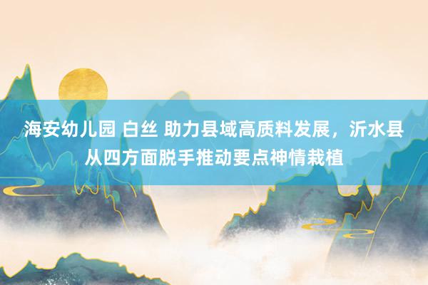 海安幼儿园 白丝 助力县域高质料发展，沂水县从四方面脱手推动要点神情栽植