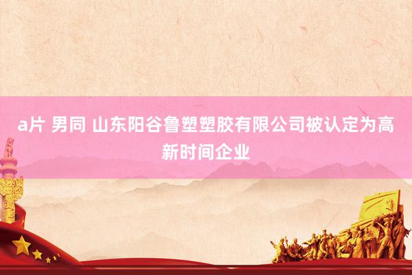 a片 男同 山东阳谷鲁塑塑胶有限公司被认定为高新时间企业