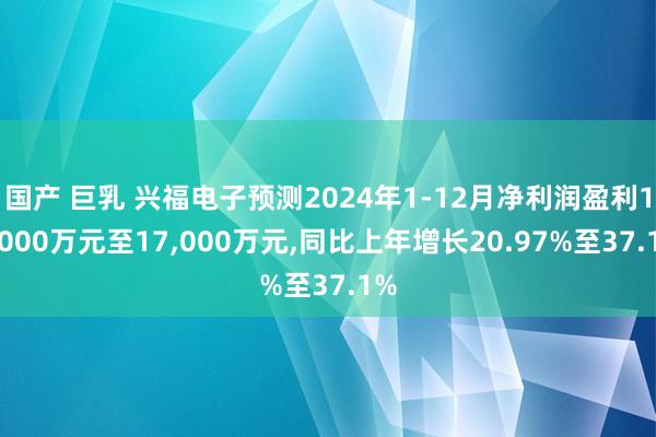 国产 巨乳 兴福电子预测2024年1-12月净利润盈利15，000万元至17，000万元，同比上年增长20.97%至37.1%