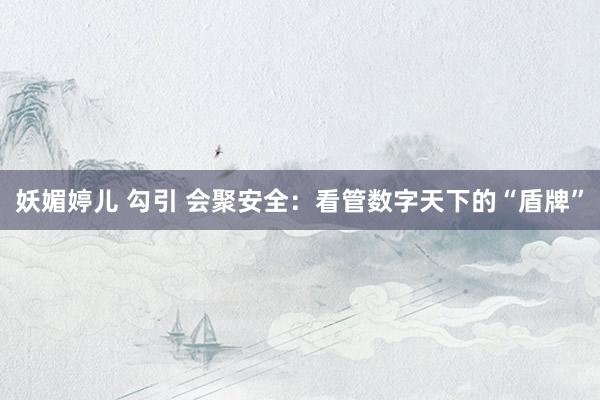 妖媚婷儿 勾引 会聚安全：看管数字天下的“盾牌”