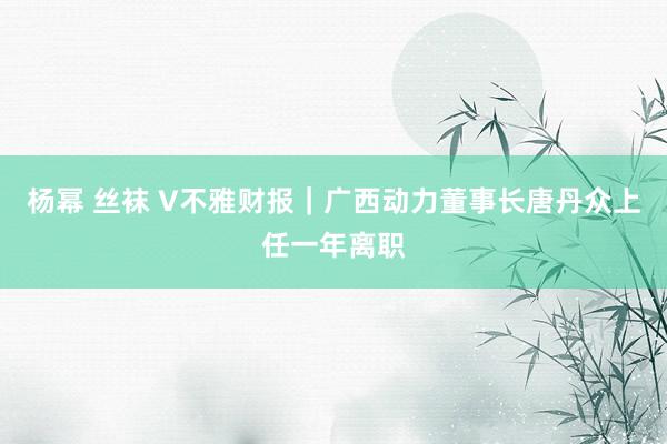 杨幂 丝袜 V不雅财报｜广西动力董事长唐丹众上任一年离职