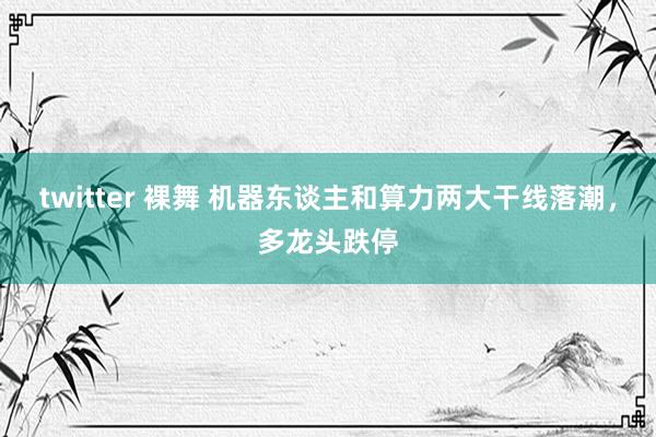 twitter 裸舞 机器东谈主和算力两大干线落潮，多龙头跌停