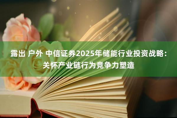 露出 户外 中信证券2025年储能行业投资战略：关怀产业链行为竞争力塑造