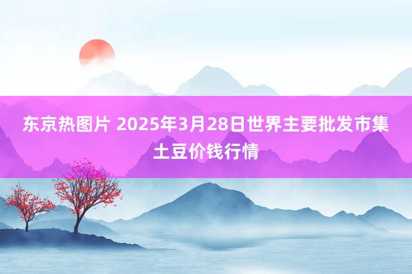 东京热图片 2025年3月28日世界主要批发市集土豆价钱行情