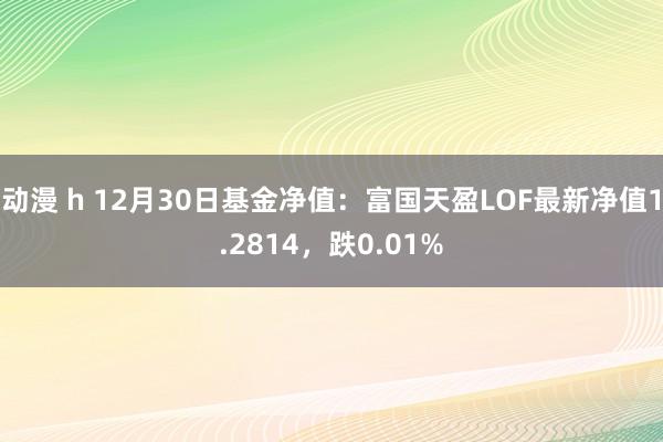 动漫 h 12月30日基金净值：富国天盈LOF最新净值1.2814，跌0.01%