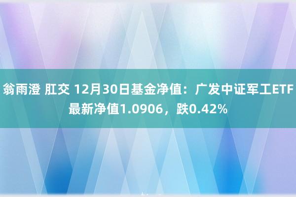 翁雨澄 肛交 12月30日基金净值：广发中证军工ETF最新净值1.0906，跌0.42%