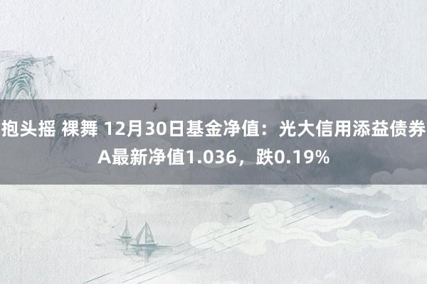 抱头摇 裸舞 12月30日基金净值：光大信用添益债券A最新净值1.036，跌0.19%