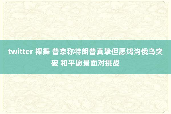 twitter 裸舞 普京称特朗普真挚但愿鸿沟俄乌突破 和平愿景面对挑战