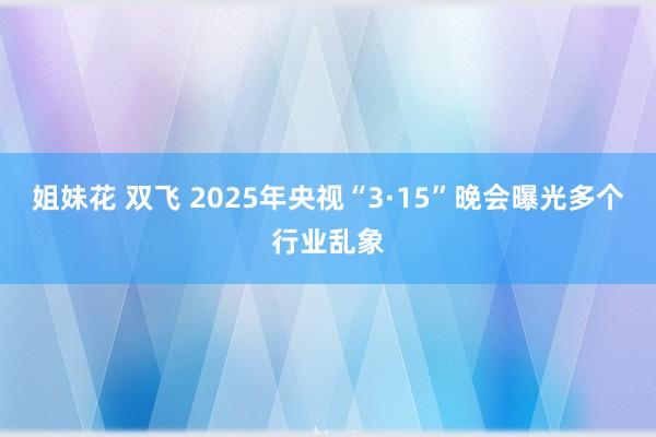 姐妹花 双飞 2025年央视“3·15”晚会曝光多个行业乱象