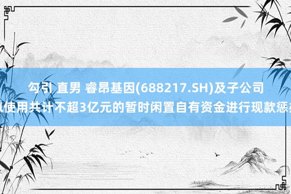 勾引 直男 睿昂基因(688217.SH)及子公司拟使用共计不超3亿元的暂时闲置自有资金进行现款惩办