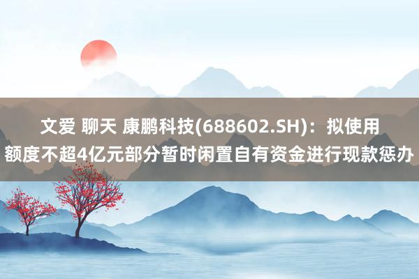文爱 聊天 康鹏科技(688602.SH)：拟使用额度不超4亿元部分暂时闲置自有资金进行现款惩办