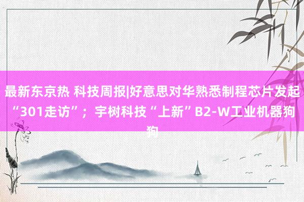 最新东京热 科技周报|好意思对华熟悉制程芯片发起“301走访”；宇树科技“上新”B2-W工业机器狗