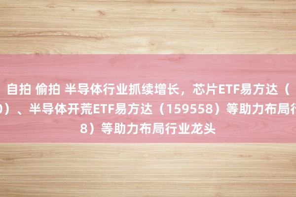自拍 偷拍 半导体行业抓续增长，芯片ETF易方达（516350）、半导体开荒ETF易方达（159558）等助力布局行业龙头