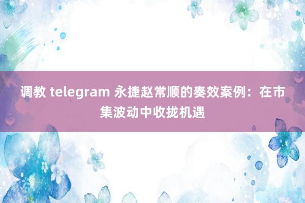 调教 telegram 永捷赵常顺的奏效案例：在市集波动中收拢机遇